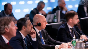 Russian finance minister makes unexpected appearance at G20