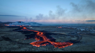 Islande: l'éruption volcanique s'est calmée, selon la protection civile