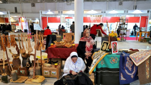 Ir&aacute;n busca atraer a turistas chinos y rusos a falta de occidentales