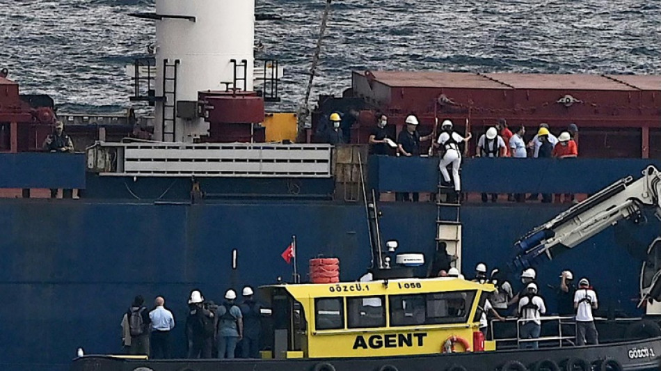 El primer buque con grano ucraniano navega ya rumbo a L&iacute;bano
