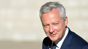 Frankreich will Energieanbieter durch staatliche Garantien sch&uuml;tzen