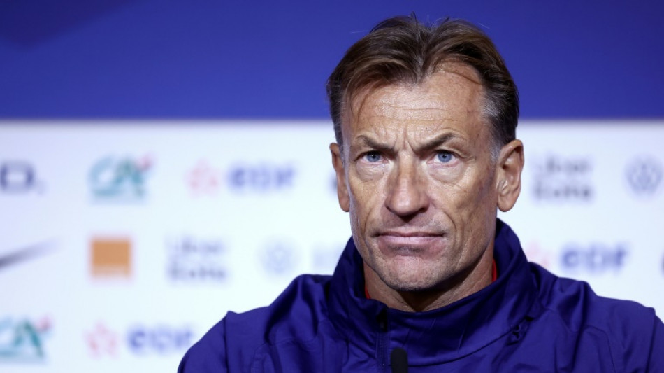 Foot/Bleues: Herv&eacute; Renard, d&eacute;j&agrave; la t&ecirc;te ailleurs ?