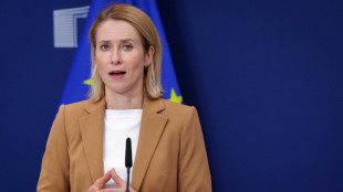 Kallas, situazione è pericolosa, impedire l'escalation