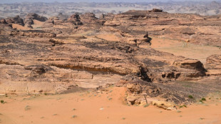 El espa&ntilde;ol Schareina en motos y el sueco Ekstr&ouml;m en coches ganan el pr&oacute;logo del Dakar
