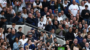 VAR-Panne in Tottenham: Audio-Mitschnitte ver&ouml;ffentlicht