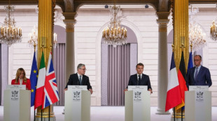 France, UK to lead multinational Hormuz mission