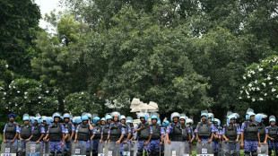 Indien: Gr&uuml;nder von Kakerlakenbewegung vor Protesten gegen Wahlkommission festgenommen