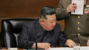 USA: Kim will Putin zu Gespr&auml;chen &uuml;ber Waffenlieferungen in Russland treffen