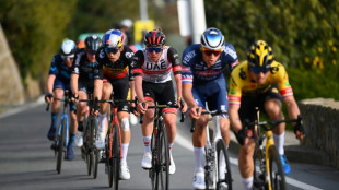 A travers la Flandre: Pogacar en découverte, van der Poel en revenant