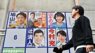 Japan's record number of women MPs still minority