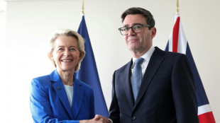EU und Gro&szlig;britannien planen Gipfeltreffen f&uuml;r den 20. November 