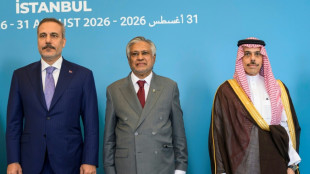 Turkey says regional defence pact not against any country 