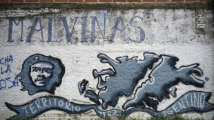 Excombatientes argentinos rinden tributo a ca&iacute;dos en guerra de Malvinas, 40 a&ntilde;os despu&eacute;s