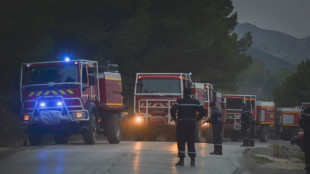 In Algeria spenti tutti gli incendi boschivi scoppiati gioved&igrave;