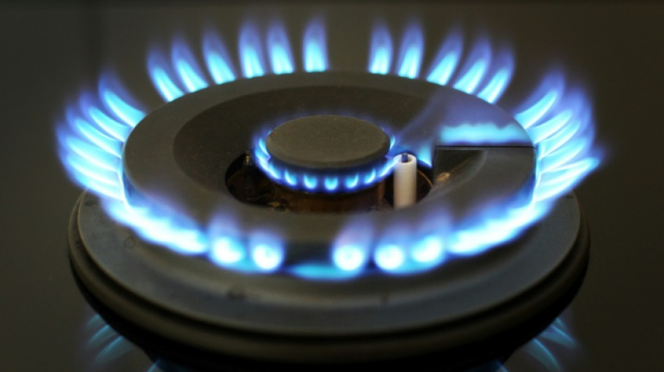 Gruppe von 15 EU-L&auml;ndern fordert Gaspreisdeckel f&uuml;r Importe