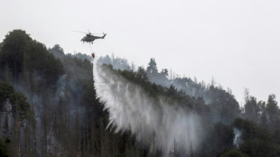 Feuerwehr k&auml;mpft in S&auml;chsischer Schweiz weiter gegen Waldbrand