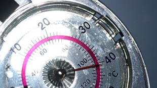 France : 40&deg;C mesur&eacute;s dans un nombre record d'endroits cet &eacute;t&eacute;, selon une analyse AFP