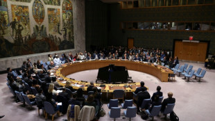 UN-Sicherheitsrat stimmt für Resolution zu Trumps Gaza-Friedensplan