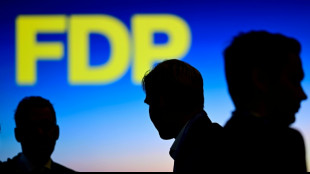 FDP in Schleswig-Holstein k&uuml;rt Landeschef Vogt zu Spitzenkandidat