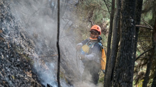 Indon&eacute;sia fecha escolas durante inc&ecirc;ndios florestais