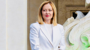 Meloni, strumenti negoziali e economici a sostegno imprese