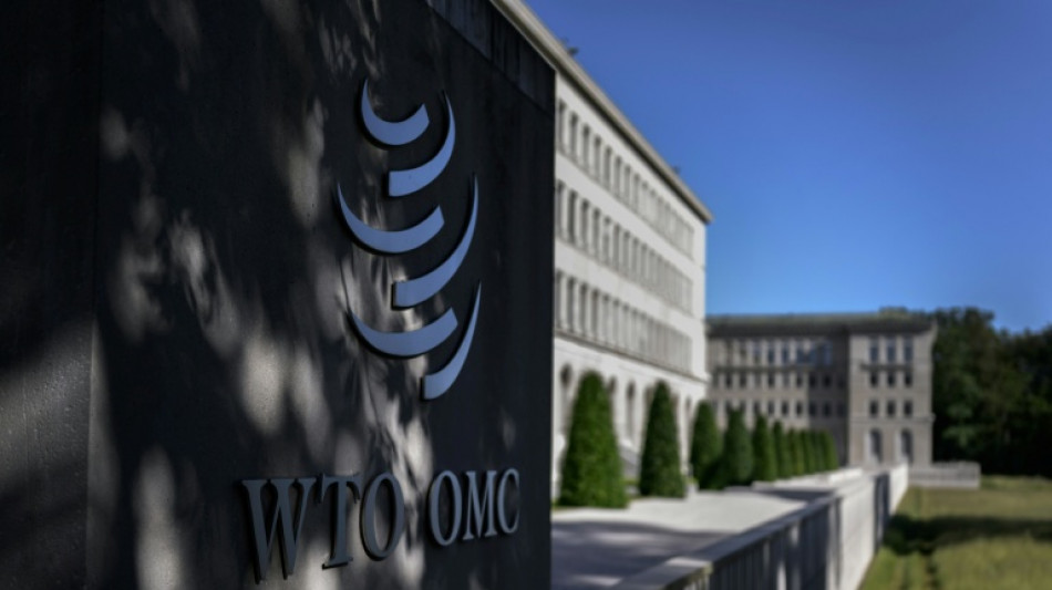 Taiw&aacute;n se ausentar&aacute; de una conferencia de la OMC tras ser catalogada como "provincia de China"