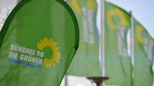 Nach Attacken auf Gr&uuml;nen-B&uuml;ro in Speyer: Ermittlungen f&uuml;hren zu 77-J&auml;hrigem