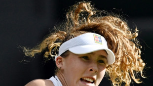 Wimbledon: Andreeva chute d&egrave;s le 2e tour, Sinner et Djokovic se rassurent
