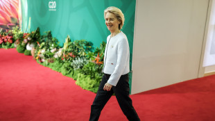 Von der Leyen, 'uso degli asset russi centrale nei negoziati'