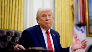 Deference and disputes: how leaders get on with Trump