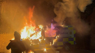 "Gewaltsame" Proteste vor Hotel für Asylsuchende in Irland - sechs Menschen festgenommen