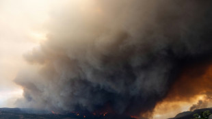 Meta wegen Nachrichten-Sperre inmitten der Waldbr&auml;nde in Kanada in der Kritik