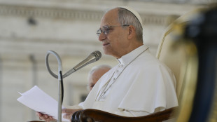 Il Papa, preghiamo per le vittime innocenti delle guerre