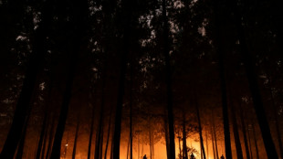 Incendies au Chili : la m&eacute;t&eacute;o offre un r&eacute;pit aux secours