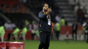 Mo&iuml;ne Cha&acirc;bani, nuevo seleccionador de T&uacute;nez