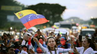 Delcy Rodr&iacute;guez acusa de Machado de montar un "show" con su regreso a Venezuela