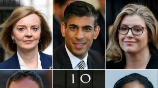 Johnson-Nachfolgekandidaten annullieren TV-Debatte wegen bef&uuml;rchteter Image-Sch&auml;den