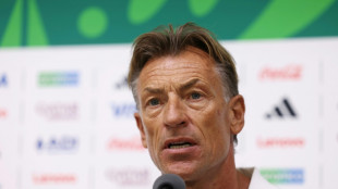 Herv&eacute; Renard diz que est&aacute; 'livre para escolher' pr&oacute;ximo projeto ap&oacute;s fracasso da Tun&iacute;sia na Copa