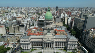 Argentina coloc&oacute; 1.000 millones en su regreso al mercado de deuda en d&oacute;lares