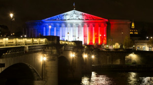 Le projet de loi sur le pouvoir d'achat dans le chaudron de l'Assembl&eacute;e nationale