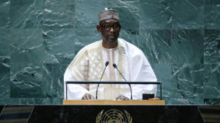 Mali will bei Milit&auml;rintervention im Niger "nicht tatenlos zusehen"