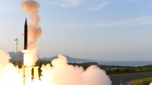Haushaltsausschuss gibt erste Gelder f&uuml;r Kauf von Raketenschutzschirm frei