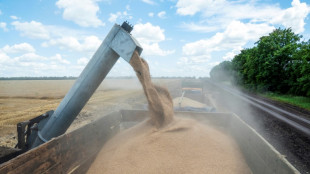 C&eacute;r&eacute;ales ukrainiennes: Ankara esp&egrave;re un accord "dans les prochains jours"