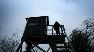 Neuer Rekord: Zahl der J&auml;ger in Deutschland steigt weiter