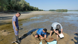 El bajo nivel del Danubio deja al descubierto huesos de mamut en Bulgaria