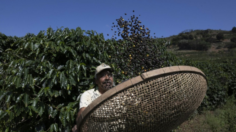 EUA estuda reduzir tarifas de produtos como caf&eacute; e bananas