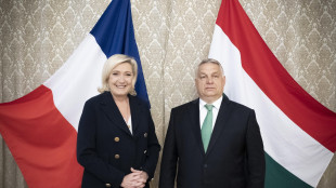 Da Orban solidarietà a Le Pen, 'je suis Marine'