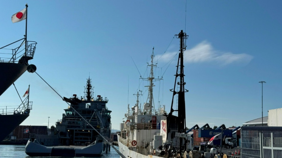 L'Islande ordonne l'expulsion de 21 militants anti-chasse &agrave; la baleine
