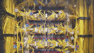 Voucher cloud computing e cybersecurity, 150 milioni per autonomi e Pmi