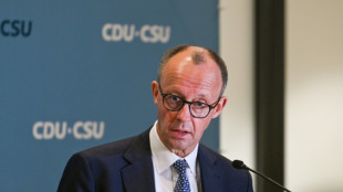 Harsche Kritik an Merz-Forderung zu Entzug von Staatsb&uuml;rgerschaft